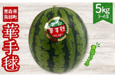 ≪数量限定≫ 青空スイカ 「宙づり栽培の小玉スイカ(華手毬)」 5kg (3～6玉) 【大向農園】 西瓜 すいか 夏 青森県 南部町 ギフト お中元 F21U-508
