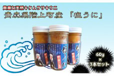 天然キタムラサキウニ使用　塩うに(3本入)
