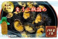 国産生うに（白）