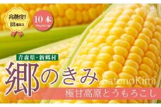 【三つ星フレンチの食材に選ばれたとうもろこし】「郷のきみ」10本【期間限定・数量限定】
