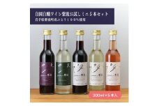 自園自醸ワイン紫波お試しミニ5本セット【1156382】