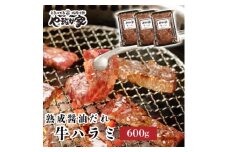 やまなか家の旨みたっぷり牛ハラミ＜熟成醤油だれ＞600g(K2-028)【1405429】