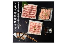 やまなか家のトリプルカルビ食べ比べセット!2～3人前＜元祖本だれ付＞(G-010)【1414172】