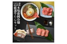 やまなか家の本場盛岡冷麺・厳選牛たんセット!(G-016)【1414265】