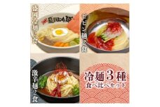 やまなか家の＜冷凍＞冷麺3種セット!(盛岡冷麺・ビビン麺・激辛冷麺)(K1-027)【1414364】