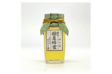 藤原 国産蜂蜜「柿の花」　550g【1487805】