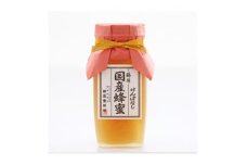 藤原 国産蜂蜜「けんぽなし」　550g【1487810】