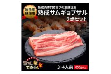 熟成サムギョプサル 9点セット【1473506】