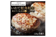 いわて短角和牛 生冷凍ハンバーグ 120g×6個入【1549940】