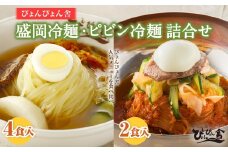 冷麺 ピビン冷麺 ぴょんぴょん舎 合計6食 セット 盛岡名物 詰め合わせ 麺 めん 麺類 牛骨 スープ キムチ 大根漬け 食べ比べ 岩手県盛岡市 