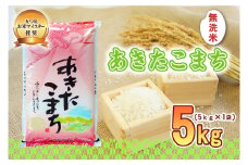 佐々木米穀店 米 五つ星お米マイスター推奨 あきたこまち 無洗米 5kg 岩手 盛岡市産 お米 白米 精米 ご飯 ブランド米 新米 令和6年産 産地直送 送料無料 コメ こめ おこめ 令和6年 2024年 岩手県 盛岡 盛岡市