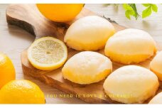【季節限定】レモンケーキ6個セット お菓子 スイーツ 洋菓子 しっとり スペイン産レモン汁 爽快 甘酸っぱい 爽やか とろける 個包装 お茶菓子 ティータイム