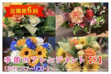 季節のアレンジメント S 定期便 6ヶ月【田村フローリスト】