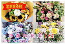 季節の花束S 定期便 3ヶ月 【田村フローリスト】