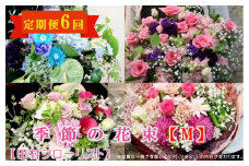 季節の花束M 定期便 6ヶ月【田村フローリスト】