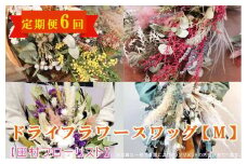 ドライフラワースワッグ M 定期便 6ヶ月【田村フローリスト】