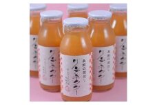 佐々木果樹園 乙部角屋 蔵出し 濃厚りんごネクター 180ml×6本