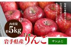 ふじむら農園の盛岡りんご『サンふじ』約5kg（ご家庭用）【季節限定・数量限定】14玉～20玉 果物類 美味しい 生産 大人気 果汁 果肉 シャキシャキ 食感 絶品 高糖度