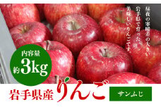 ふじむら農園の盛岡りんご『サンふじ』約3kg（ご家庭用）【季節限定・数量限定】8玉～14玉 果物類 美味しい 生産 大人気 果汁 果肉 シャキシャキ 食感 絶品 高糖度