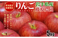 先行予約《2025年10月中旬～発送》藤原農園のりんご『シナノスイート』5kg 14玉～20玉 果物類 美味しい 産地直送 大人気 果汁 果肉 トップランク 食感 絶品 甘い 