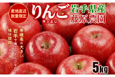 先行予約《2025年11月中旬～発送》藤原農園のりんご『サンふじ』5kg 14玉～20玉 果物類 美味しい 生産 大人気 果汁 果肉 やや硬い シャキシャキ 食感 絶品 高糖度 蜜 