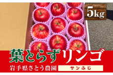 りんご さとう農園の葉とらずリンゴ サンふじ 5kg 葉とらず フルーツ 果物 おやつ 冬 旬 旬のフルーツ 旬の果物 お取り寄せ 蜜入り 産地直送 岩手 盛岡市 予約 2025年