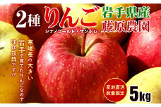 先行予約《2025年11月中旬～発送》藤原農園のりんご2種の詰め合わせ『シナノゴールド・サンふじ』5kg 14玉～20玉 果物類 美味しい 生産 大人気 果汁 果肉 やや硬い シャキシャキ 食感 絶品 高糖度 蜜 甘い 食べ比べ 