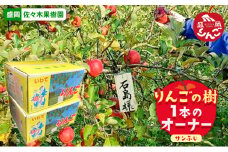 りんご オーナー 定期便 2ヶ月 りんごの樹 サンふじ 1本のオーナー 収穫したりんご約15kgを2回発送 佐々木果樹園 乙部角屋 フルーツ 果物 産地直送 旬 先行予約 先行 予約  岩手 定期 2回