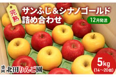 先行予約【12月発送】盛岡北田りんご園 完熟サンふじ＆シナノゴールド詰め合わせ 約5kg（14～20玉） 果物類 王様 果汁 甘 酸味 バランス 晩生種 代表 黄色い シャッキシャキ 濃厚 人気 貯蔵性 