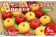 先行予約【1月発送】盛岡北田りんご園 完熟サンふじ＆シナノゴールド詰め合わせ 約5kg（14～20玉） 果物類 王様 果汁 甘 酸味 バランス 晩生種 代表 黄色い シャッキシャキ 濃厚 人気 貯蔵性 