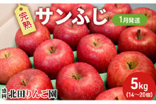 先行予約【1月発送】盛岡 北田りんご園 完熟サンふじ 約5kg（14～20玉） 果物類 フルーツ デザート 果汁 甘い 酸味 バランス 