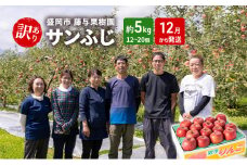 盛岡から「農で人をつなぐ」藤与果樹園：《訳アリ》サンふじ5kg 藤与果樹園 訳アリ 不揃い 傷 規格外 フルーツ 果物 旬のフルーツ 旬の果物 旬 冬 岩手 盛岡 産地直送 11月から発送