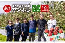 盛岡から「農で人をつなぐ」藤与果樹園：《訳アリ》サンふじ3kg 藤与果樹園 訳アリ 不揃い 傷 規格外 フルーツ 果物 旬のフルーツ 旬の果物 旬 冬 岩手 盛岡 産地直送 11月から発送
