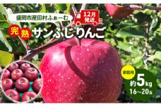 りんご 先行予約 家庭用 完熟 サンふじ 約 5kg (16～20玉) 田村ふぁーむ フルーツ 果物 冬 旬 旬のフルーツ 規格外 傷 不揃い 先行 予約 盛岡市産 林檎 リンゴ 岩手 岩手県 盛岡 盛岡市 12月発送　お届け：2025年12月1日～2025年12月25日