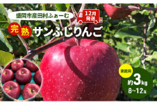 りんご 先行予約 家庭用 完熟 サンふじ 約 3kg (8～12玉) 田村ふぁーむ フルーツ 果物 冬 旬 旬のフルーツ 規格外 傷 不揃い 先行 予約 盛岡市産 林檎 リンゴ 岩手 岩手県 盛岡 盛岡市 12月発送　お届け：2025年12月1日～2025年12月25日