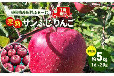 先行予約【1月発送】盛岡市産 田村ふぁーむ 家庭用 完熟 サンふじ りんご 約5kg（16～20玉） 果物類 フルーツ デザート 果汁 甘い 酸味 バランス 