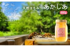 盛岡市 大西養蜂場 天然はちみつ あかしあ 600g 非加熱はちみつ 非加熱 ハチミツ 蜂蜜 国産 国産はちみつ 国産はちみつ非加熱 アカシア蜂蜜 非加熱蜂蜜 国産蜂蜜 はちみつ 岩手 岩手県 盛岡市