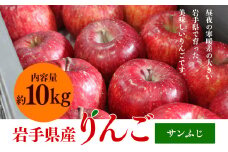 ふじむら農園の盛岡りんご『サンふじ』約10kg（ご家庭用）【季節限定・数量限定】28玉～40玉 果物類 美味しい 生産 大人気 果汁 果肉 シャキシャキ 食感 絶品 高糖度