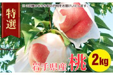 特選 白桃 2kg 約5～8玉 ふじむら農園 桃 もも モモ 果物 くだもの フルーツ 旬の果物 旬のフルーツ ギフト 贈り物 プレゼント 岩手 岩手県 盛岡市