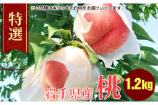 盛岡 ふじむら農園の特撰白桃　1.2kg 約4～6玉