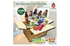 ベアレン醸造所 缶ビール×12本＆瓶ビール×12本 飲み比べ定期24本セット 3ヶ月お届け