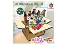 ベアレン醸造所 缶ビール×6本＆瓶ビール×6本 飲み比べ定期12本セット 6ヶ月お届け