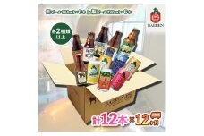 ベアレン醸造所 缶ビール×6本＆瓶ビール×6本 飲み比べ定期12本セット 12ヶ月お届け