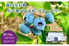 ブルーベリー 2Lサイズ 約150g×5パック 生で食べる 大粒（栽培期間中は農薬不使用） 森の宝石箱 生ブルーベリー 生 フルーツ 果物 夏 旬 旬のフルーツ 季節のフルーツ ギフト 贈答 冷蔵配送 岩手 岩手県 盛岡市
