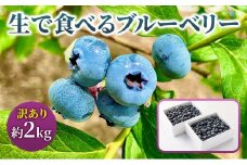 《訳あり》生で食べるブルーベリー 約2kg 