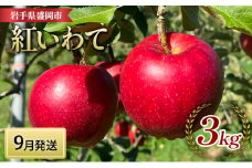 りんご 先行予約 紅いわて 3kg (8～12個) 北田りんご園 完熟 フルーツ 果物 夏 秋 旬 旬のフルーツ 季節のフルーツ 先行 予約 林檎 リンゴ 岩手 岩手県 盛岡 盛岡市 9月発送　お届け：2024年9月下旬の発送