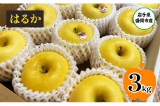 りんご はるか 3kg (8～12個) 北田りんご園 希少 蜜入り 蜜入りりんご フルーツ 果物 旬のフルーツ 旬 旬の果物 産地直送 岩手 岩手県 盛岡 盛岡市 12月発送