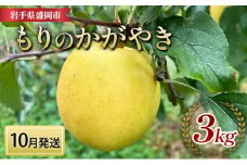先行予約【10月発送】盛岡　北田りんご園　もりのかがやき　3kg　(8～12個)