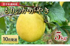 先行予約【10月発送】盛岡　北田りんご園　もりのかがやき　5kg　(14～20個)