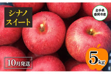 【10月発送】盛岡市産 田村ふぁーむ 家庭用 シナノスイート5kg（14～20玉）